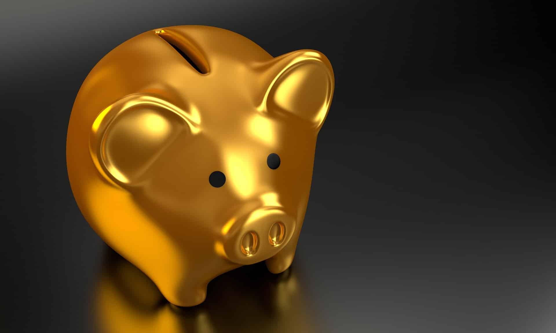 ahorrar dinero (Foto: Pixabay)